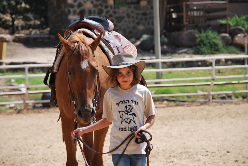 Vered Hagalil Holiday Village Hotel Chorazim ภายนอก รูปภาพ