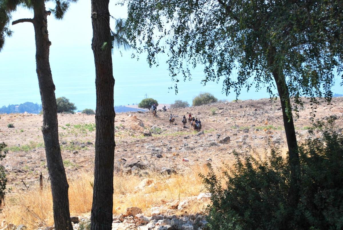 Vered Hagalil Holiday Village Hotel Chorazim ภายนอก รูปภาพ